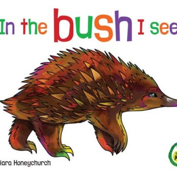 In the Bush I See