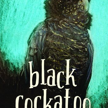 Black Cockatoo