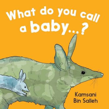 What do you call a baby...?